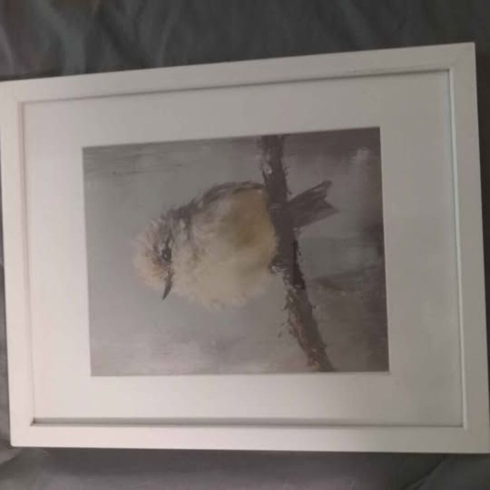 Duck / Bird Artwork